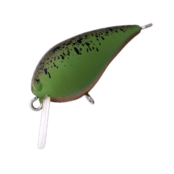 ＭＩＮＩ　ＫＵＲＡ　ＳＳ(＃１０　わさび)